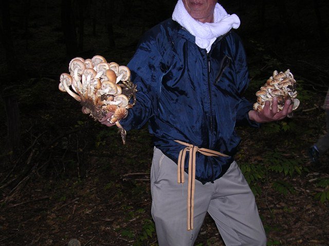 DSCN2377