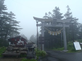 P9032119