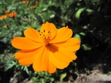 blogIMG_4207