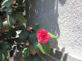 IMG_1538