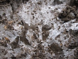 blogIMG_6159
