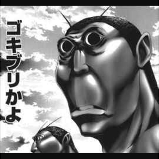 ゴキブリはなぜ「PSP3」と言う名前を使い「Vita2」と言わないのか
