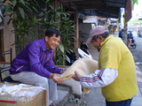 20090120-7