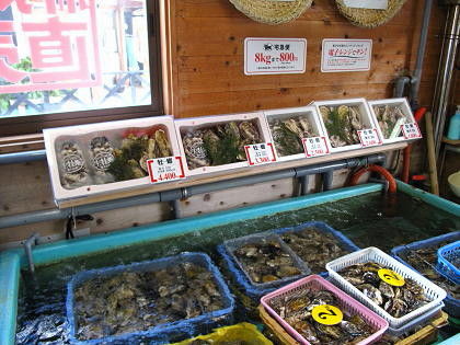 IMG_0172(1)