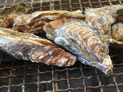 P1020711