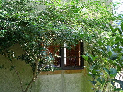 IMG_0158q