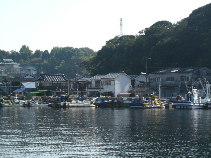 IMG_4336