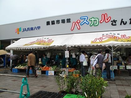 IMG_0979y