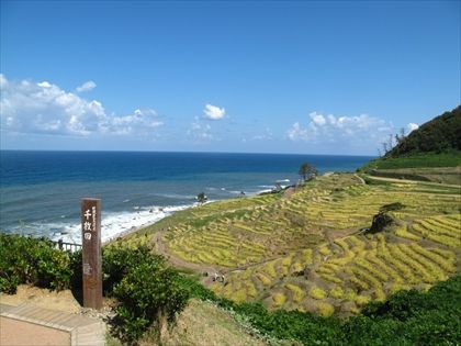 IMG_2990b