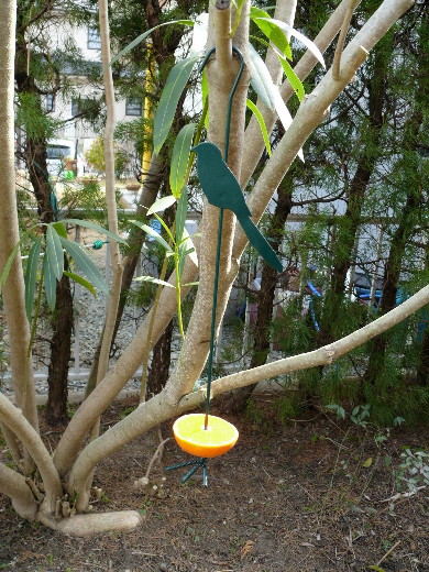 P1030026