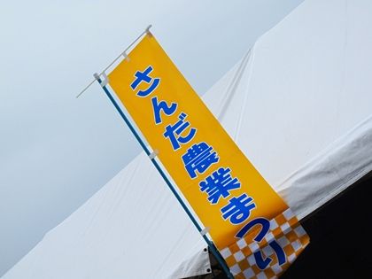 IMG_1004y