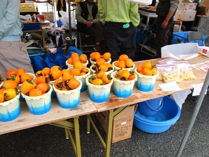 IMG_0978y