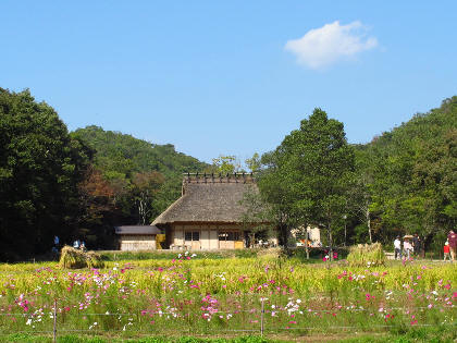 2006