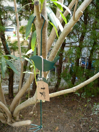 P1030029