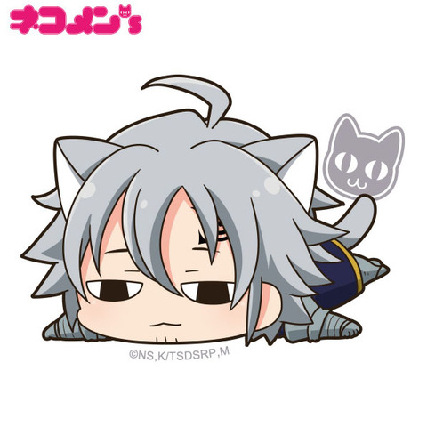 NT2_CAK07a