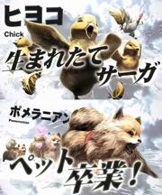 TOKYO JUNGLE (トーキョージャングル) (初回生産分限定封入特典同梱)