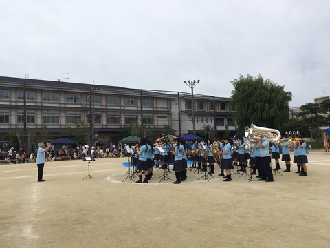 S__5324830