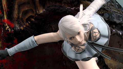 125317550570916319692_nier002