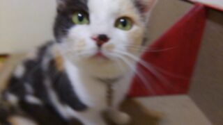 a6d9682f.jpg