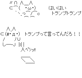 80041905
