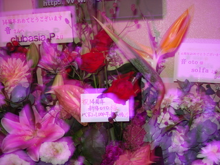 DSC00983