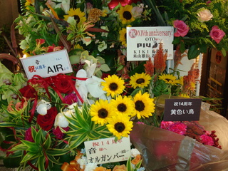 DSC00980