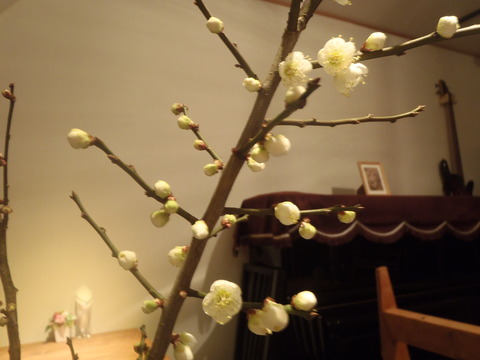 P1290045