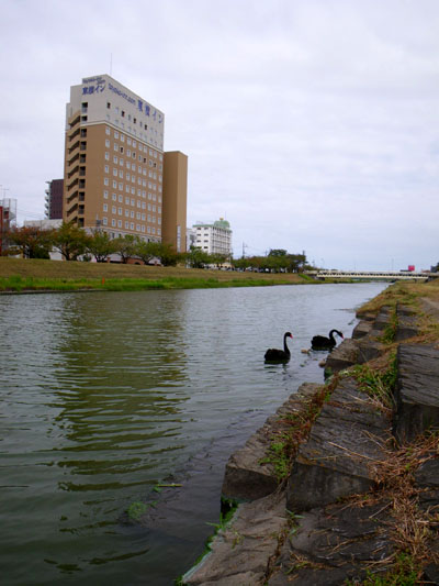 fa0b3884.jpg