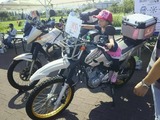 786f1252.jpg