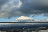 IMG_0784