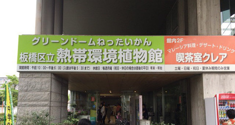 入口