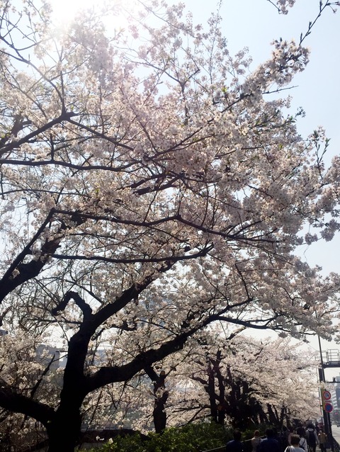 E4A0A11E-844E-42B5-AB8E-8AD65215C3D1