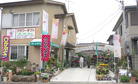 20150524fs005