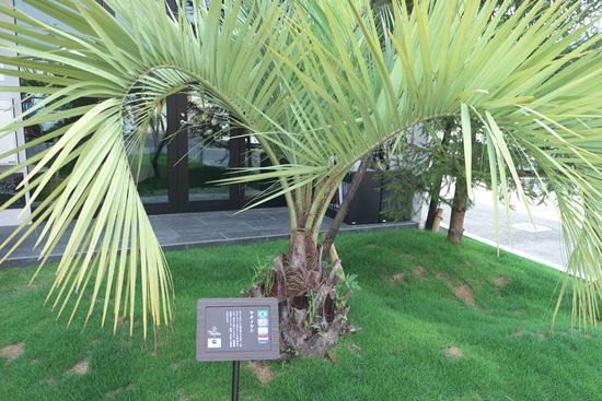 20150805uc000