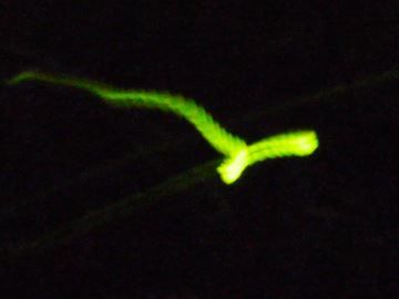 20140604