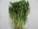 mizuna001003