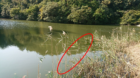 image171105_05