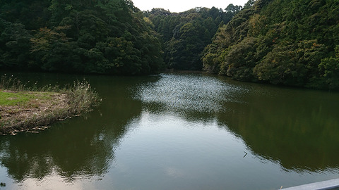 image171105_01