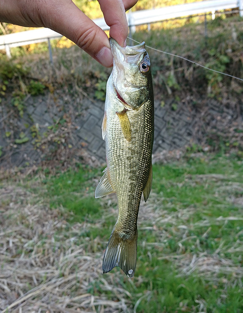 image171202_02