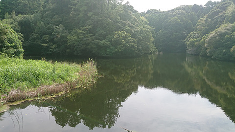 image170910_01
