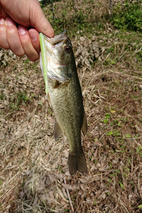 image171008_04