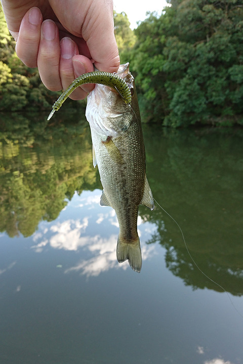 image171008_06