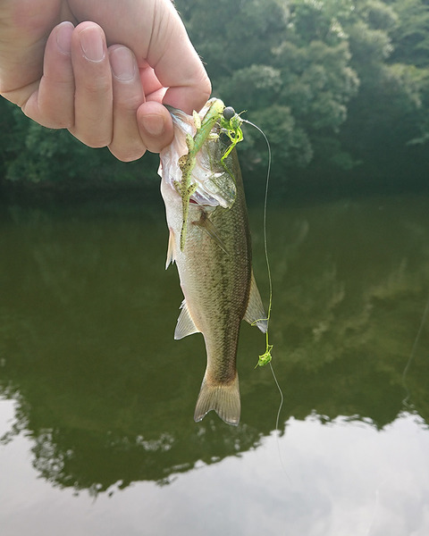 image170910_02