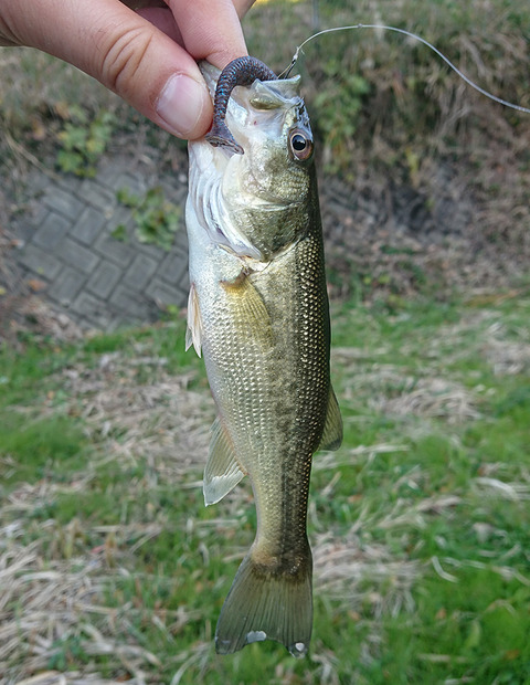 image171202_03