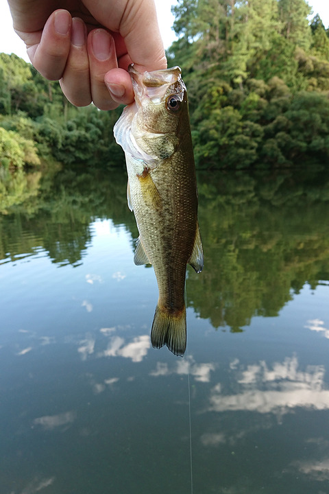 image171008_08