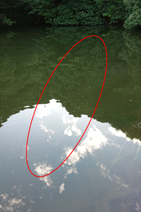 image171008_07