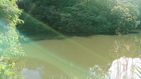 image171008_02