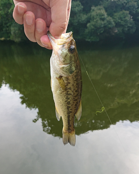 image170910_03