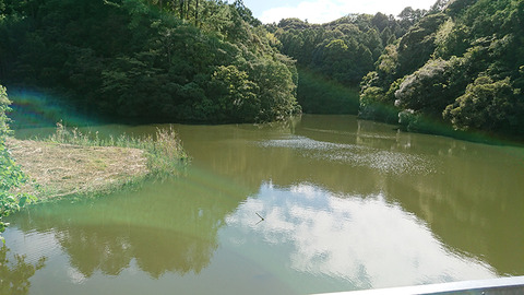 image171008_01