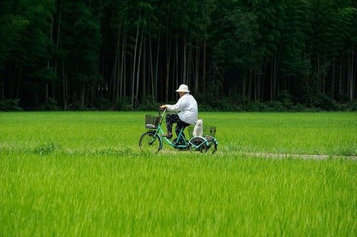 lokahi-201411123-misaotofukumaru-20
